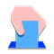 Digital Voting